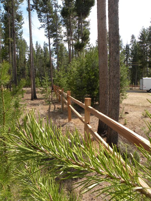 Villa Cozy Cabin Lapine à La Pine Extérieur photo